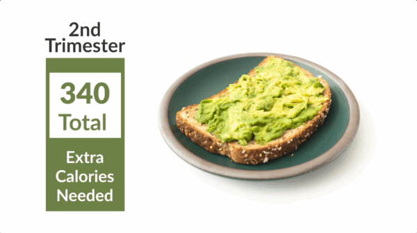 Calorie graphic showing avocado toast at 340 total calories from the Understanding Pregnancy 2nd Edition video program from InJoy Health Education.