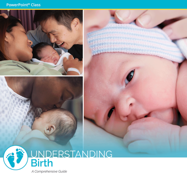 Understanding Birth powerpoint class image collage