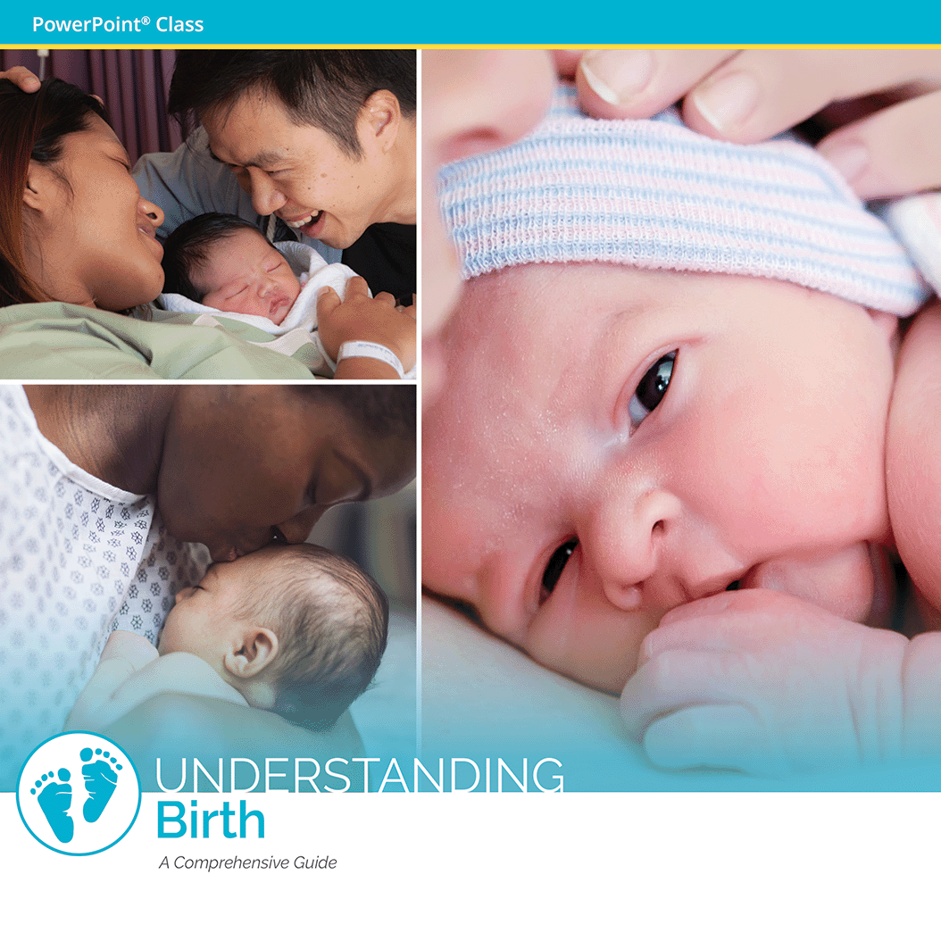 Understanding Birth powerpoint class image collage