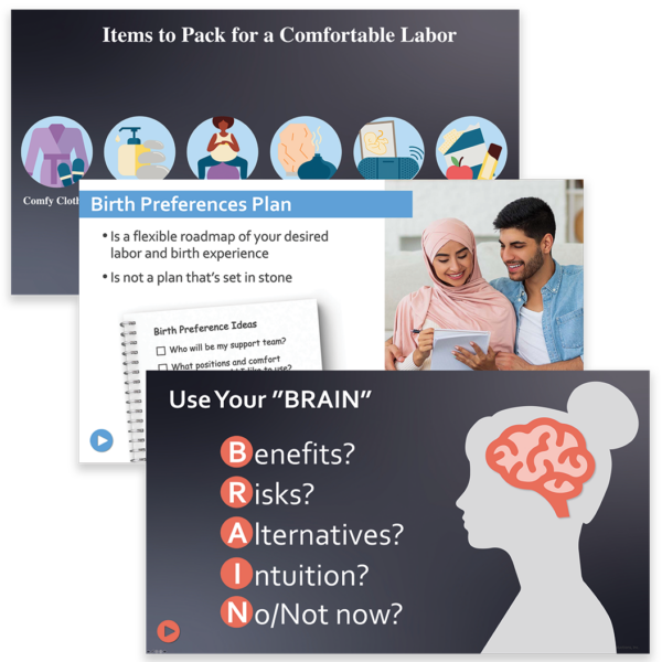 Understanding Birth powerpoint slide previews