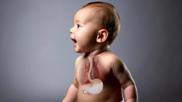 Understanding the NICU & Your Baby New Edition includes CGI animations