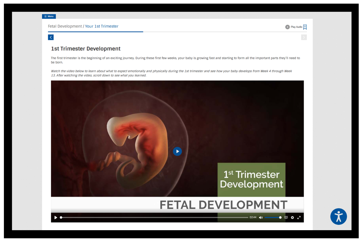 Understanding Pregnancy eClass 1st Trimester Fetal Development Video
