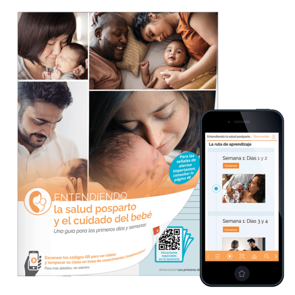 Understanding Postpartum Health and Baby Care book and web shown in Spanish