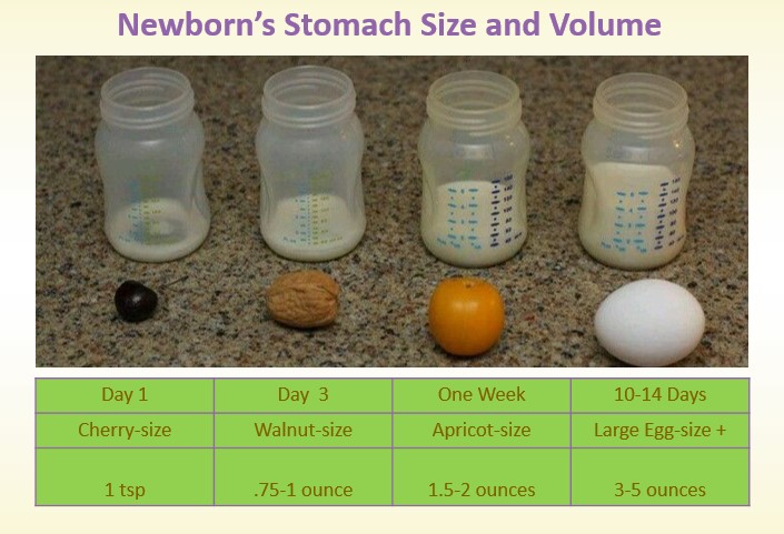 newborns-stomach.jpg
