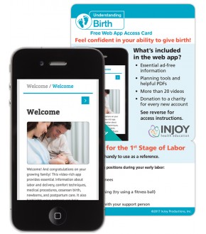 Understanding Birth Web App