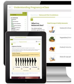 NEW UPDATE: Understanding Pregnancy eClass