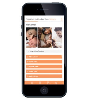 Postpartum Health & Baby Care Web App on phone