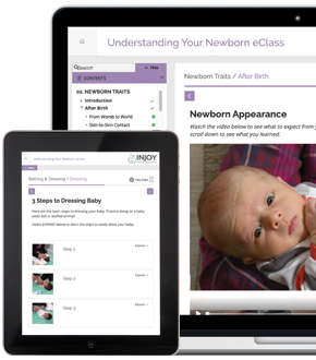 NEW VERSION! Understanding Your Newborn eClass